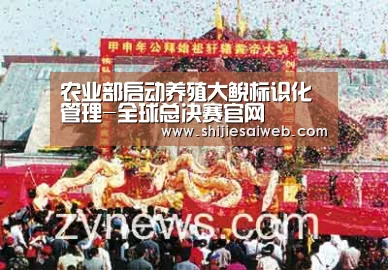 全球总决赛官网