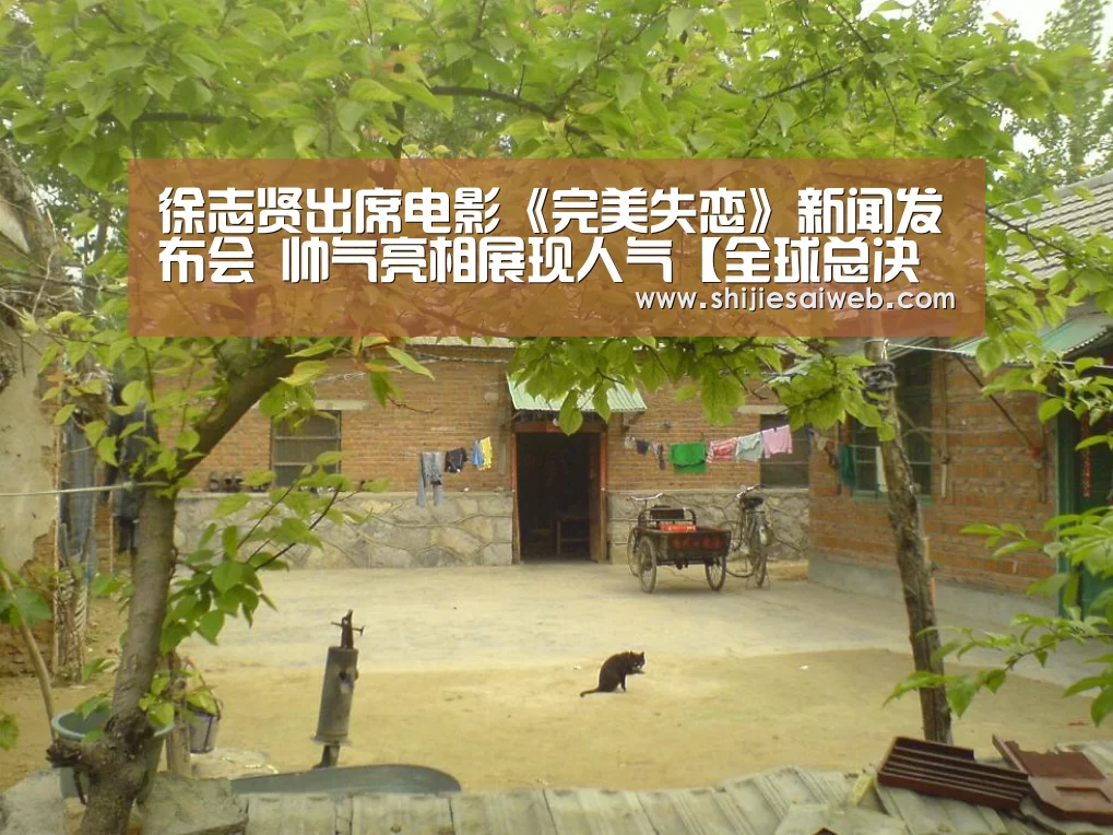 徐志贤出席电影《完美失恋》新闻发布会 帅气亮相展现人气【全球总决赛官网】