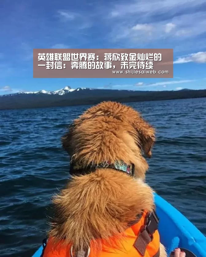英雄联盟世界赛:蒋欣致金灿烂的一封信:奔腾的故事,未完待续