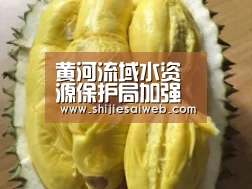黄河流域水资源保护局加强黄河水资源保护能力建设‘LOL世界赛官网’